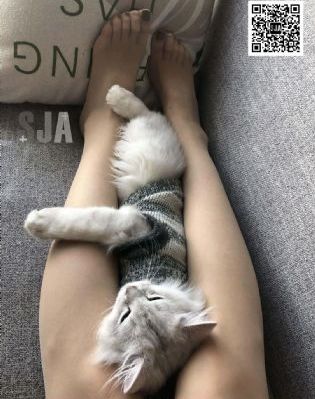 成人性生交片免费看_DVD神马影院在线